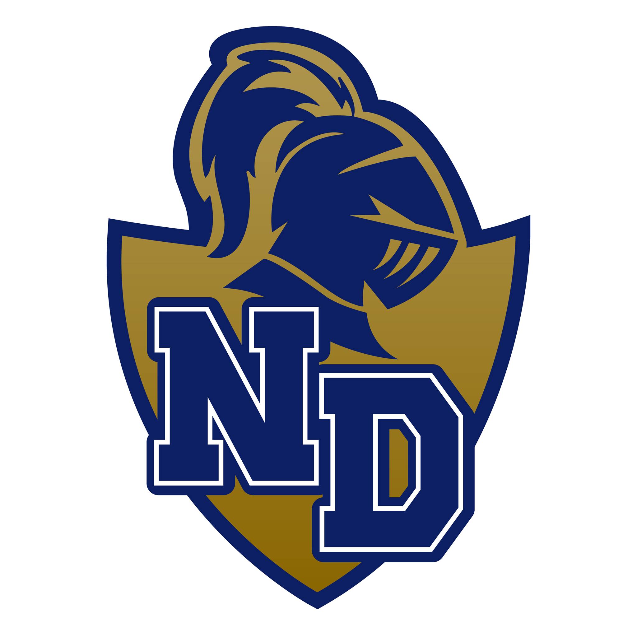 Notre Dame High School